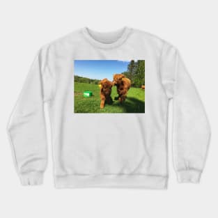 Scottish Highland Cattle Calves 1760 Crewneck Sweatshirt